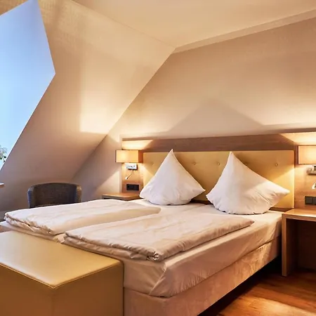 Doctor Weinstube فندق 3*