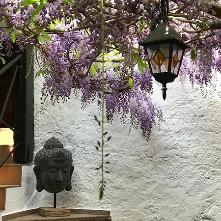 Doctor Weinstube Bernkastel-Kues