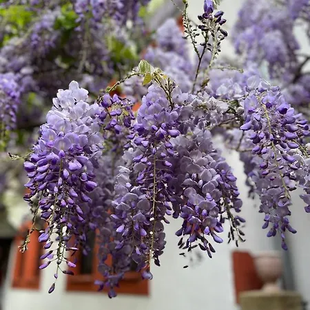 ホテル ドクター ヴァインシュトゥーベ