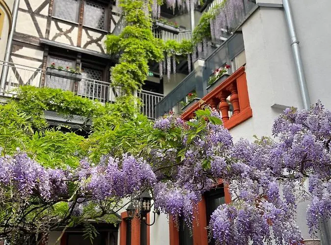 Hotel Doctor Weinstube 3*