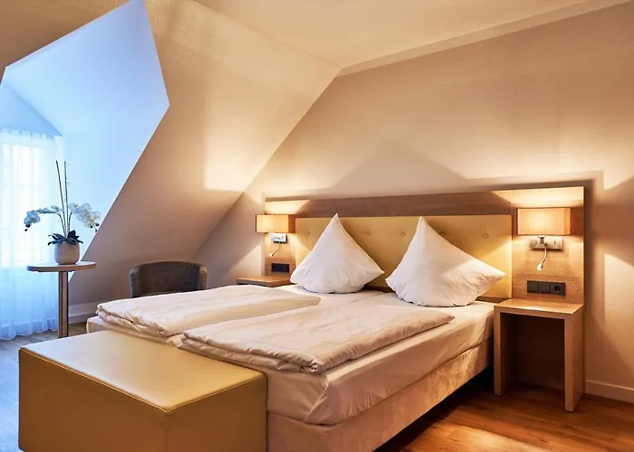 Doctor Weinstube Hotel 3*