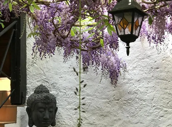 Doctor Weinstube 베른카슈텔쿠에스